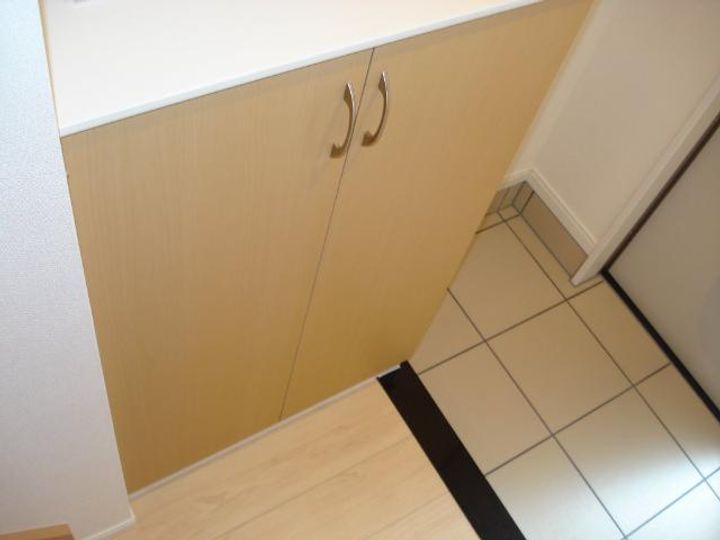 茨城県古河市女沼(アパート)の賃貸物件の玄関