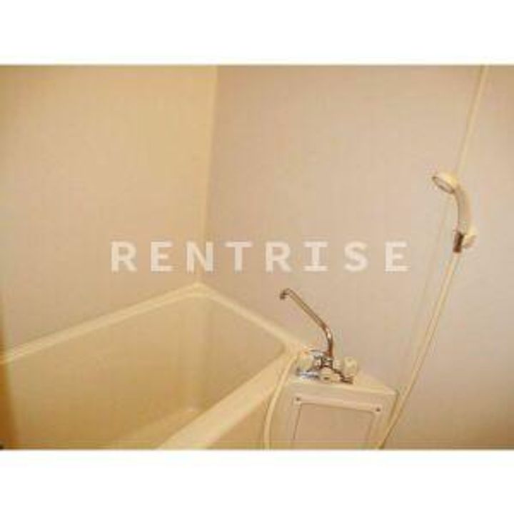 Surplus One 幸の地図