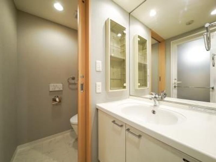 東京都港区高輪3(マンション)の賃貸物件の内装