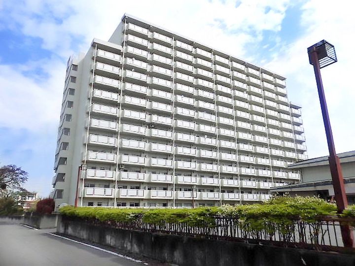 栃木県栃木市日ノ出町(マンション)の賃貸物件の外観