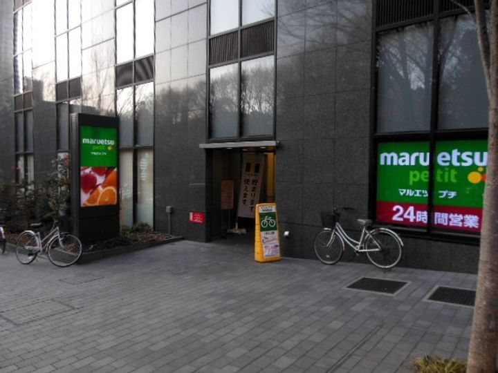 ガラ・グランディ西新宿の周辺