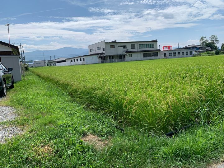 長野県伊那市西春近小出島区(一戸建)の賃貸物件のその他画像