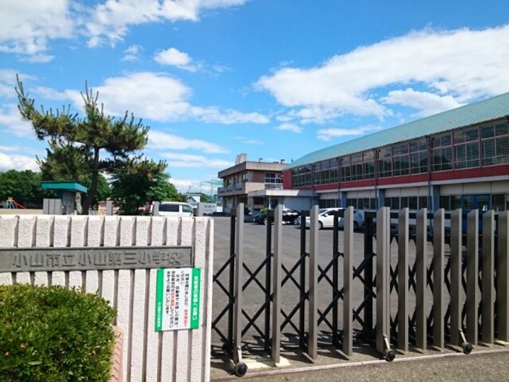 プリムローズの周辺