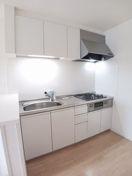 広島県東広島市黒瀬楢原東3(アパート)の賃貸物件のキッチン