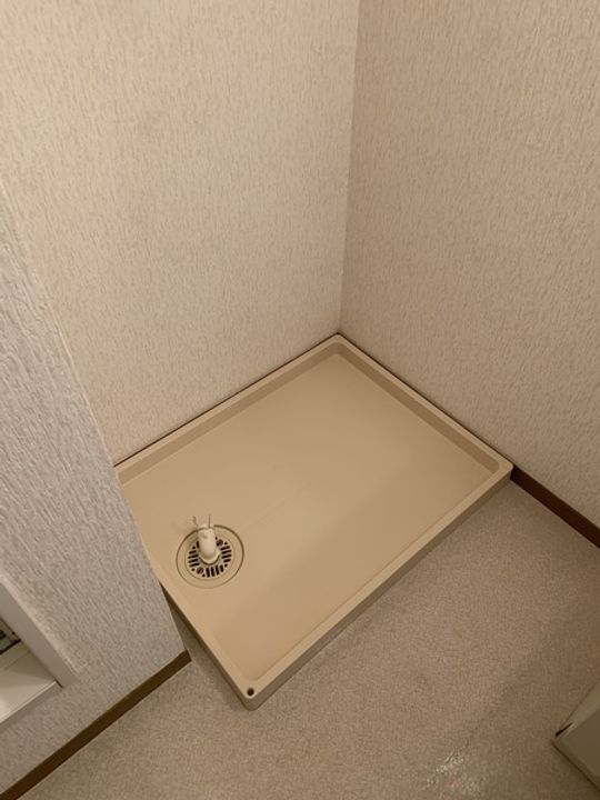 ロイヤルタウン三条 八番館の内装