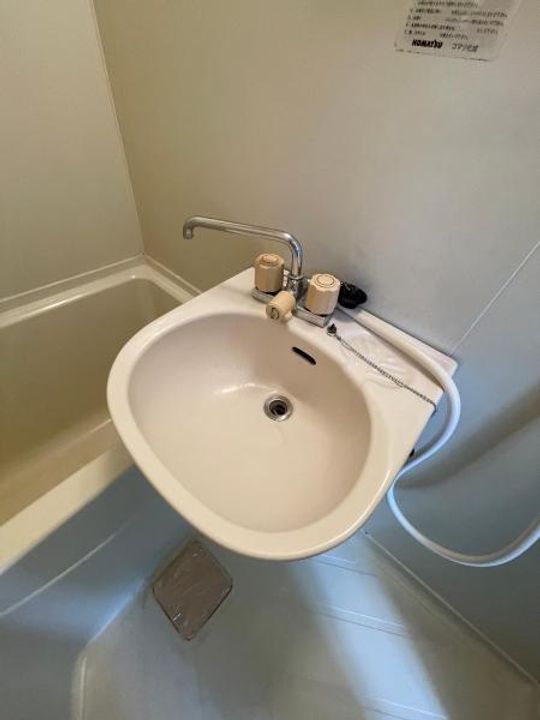 クリスマスローズの内装