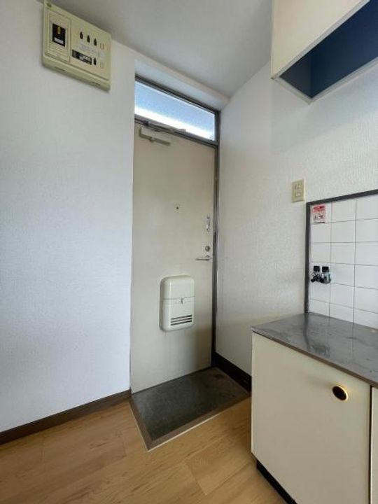 クリスマスローズの玄関