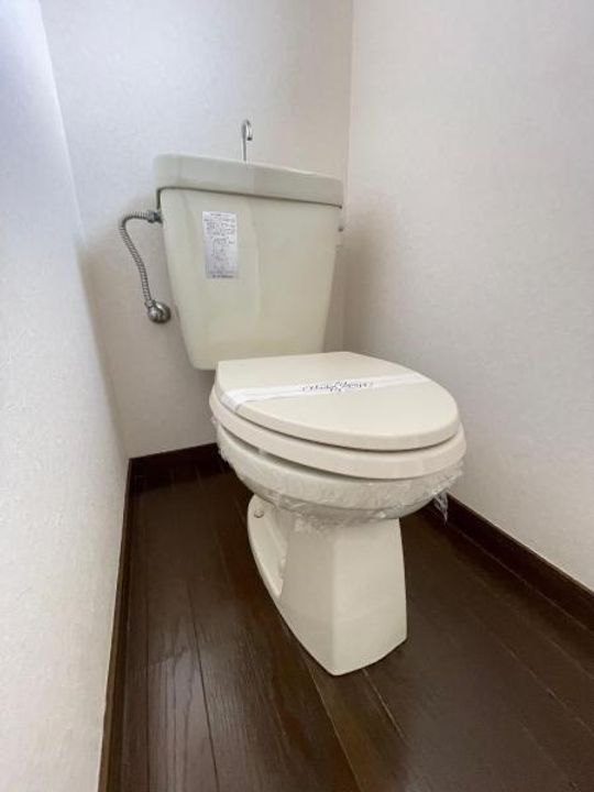 クリスマスローズの内装