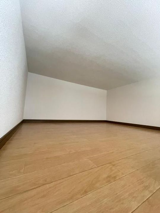 クリスマスローズの内装