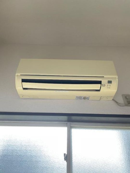 クリスマスローズのその他画像