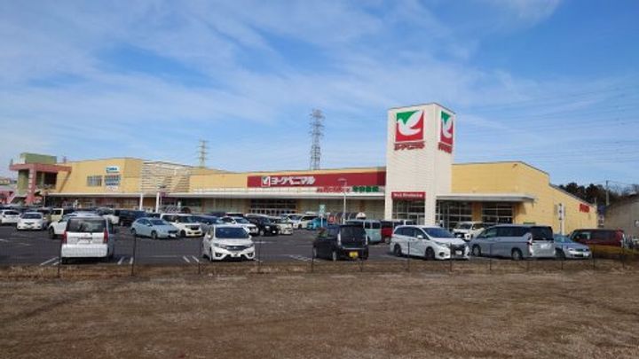 栃木県小山市大字喜沢(一戸建)の賃貸物件の周辺