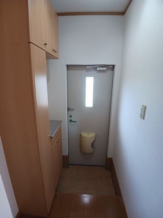群馬県高崎市島野町(アパート)の賃貸物件の玄関
