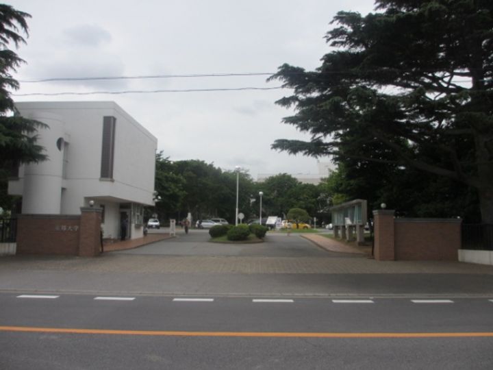 オークランド5弐番館の周辺