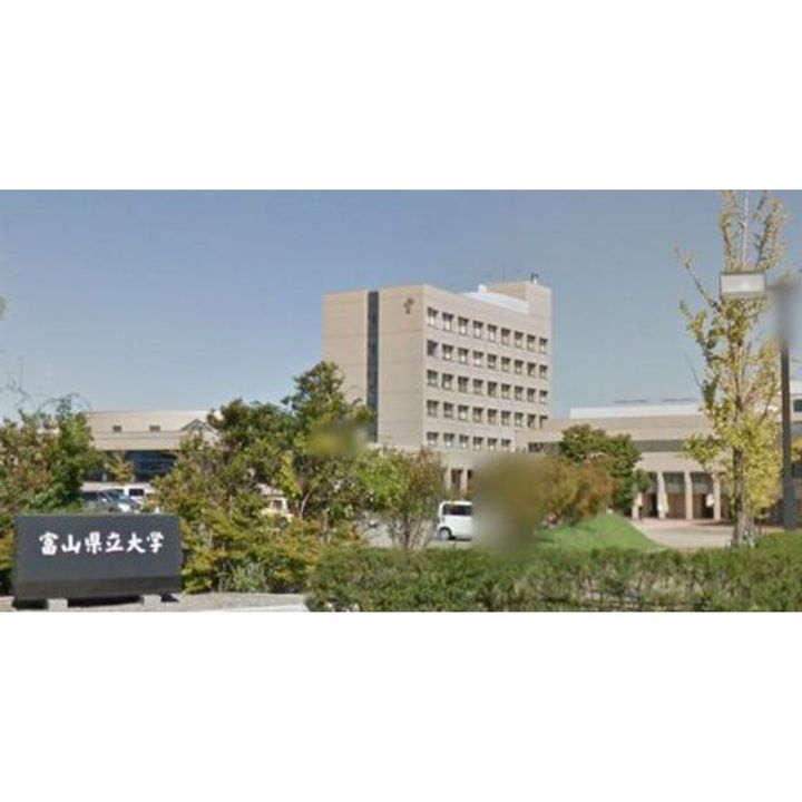 ピアーチェ小杉の周辺