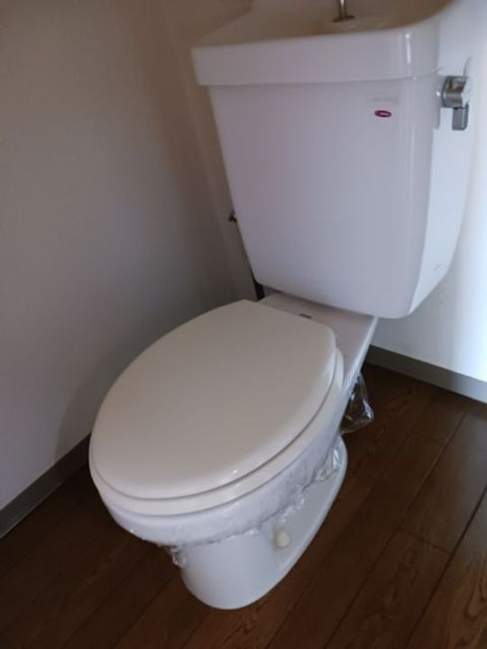 新潟県新発田市富塚町1(アパート)の賃貸物件の内装