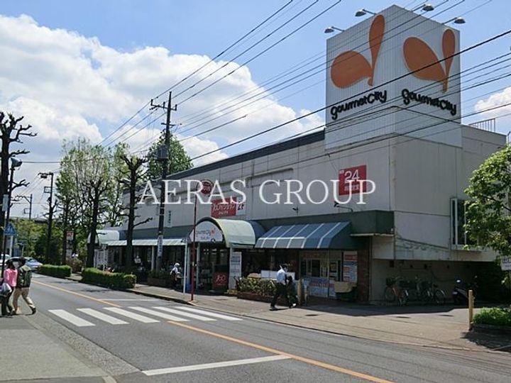 オーパスホームズ武蔵小金井の周辺