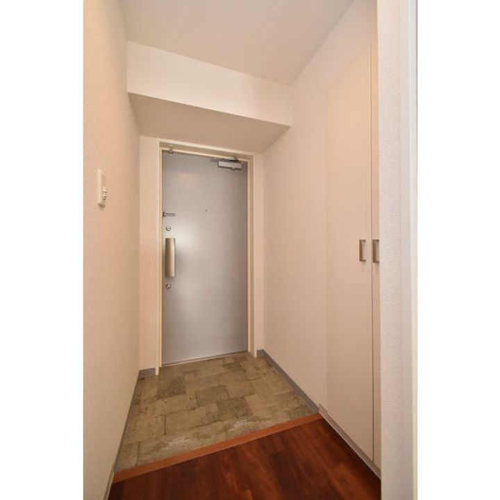 大阪府大阪市西区南堀江3(マンション)の賃貸物件の玄関