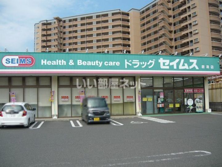 Shamaison mauveinの周辺