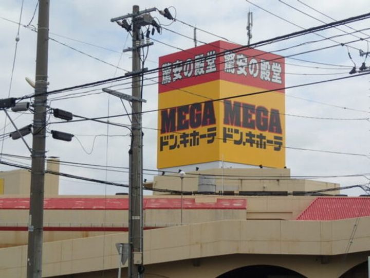 ヴェリタスの周辺