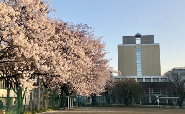 SBジェミニみずほ台の周辺