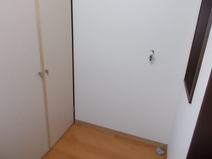 シュトワ手形のその他画像