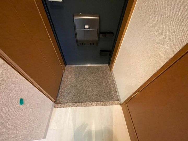 大阪府高槻市城西町(マンション)の賃貸物件の玄関