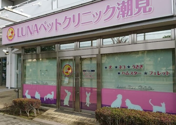 プレール・ドゥーク潮見の周辺