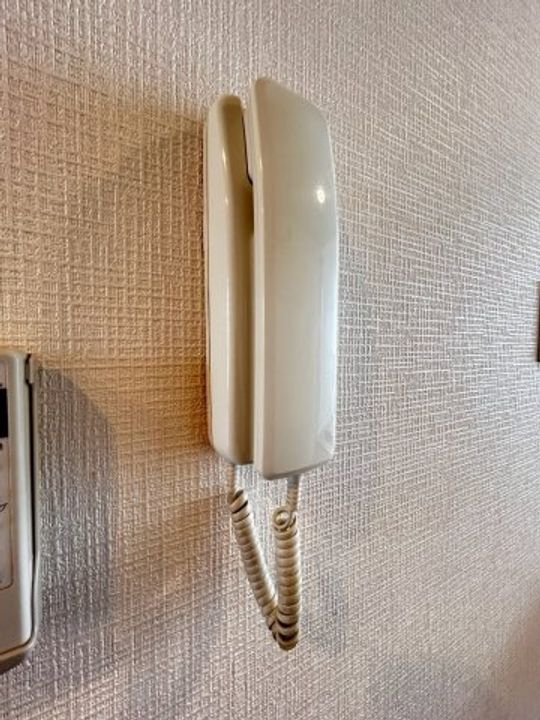 千葉県千葉市中央区松波1(マンション)の賃貸物件の内装