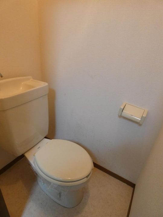 橋本ハイツの内装