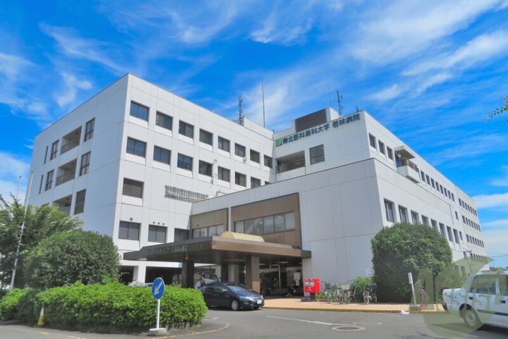 オニキス薬師堂の周辺