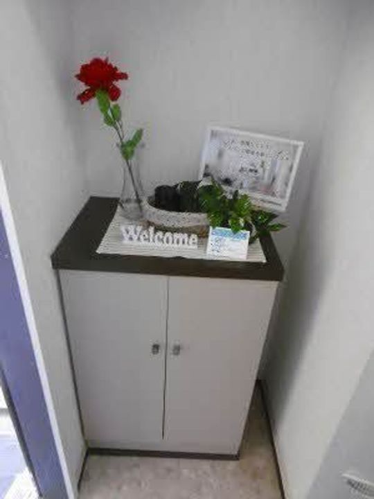 コスモタウン森岡 D棟の玄関