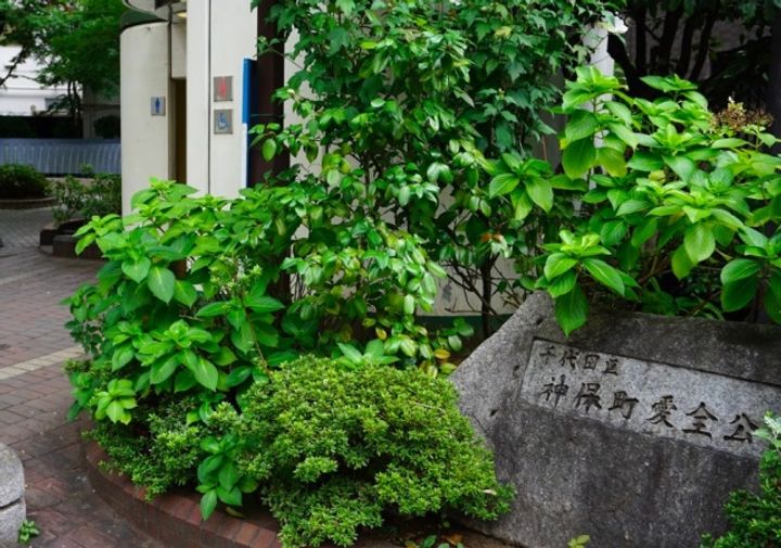 東京都千代田区神田神保町1(マンション)の賃貸物件の周辺
