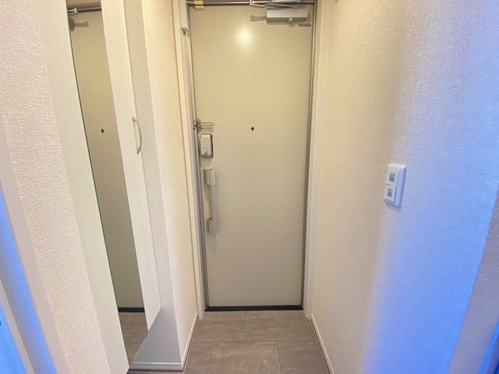 神奈川県平塚市代官町(マンション)の賃貸物件の玄関