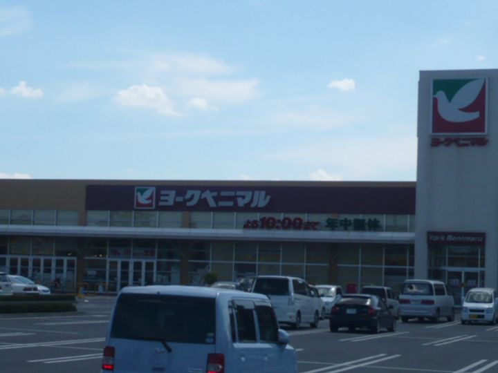 グランドフォレストA棟の周辺