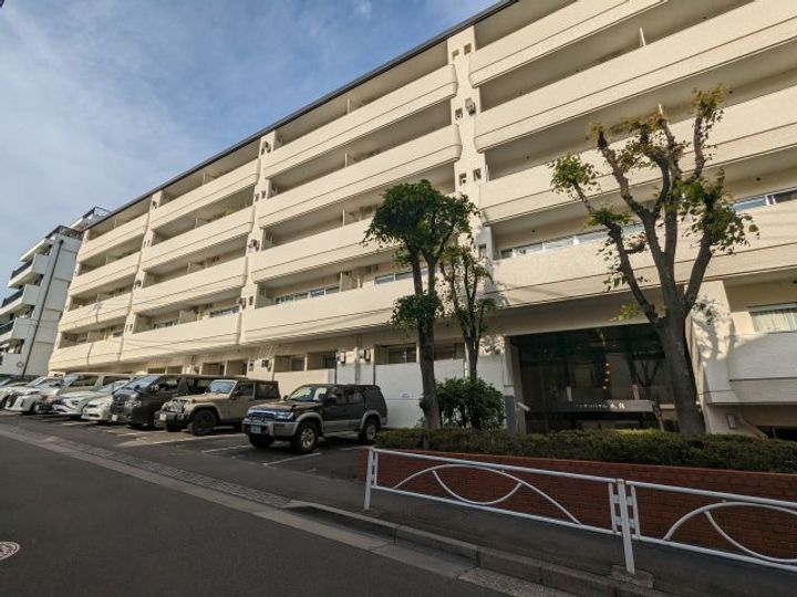 ゾンネンハイム大橋の外観