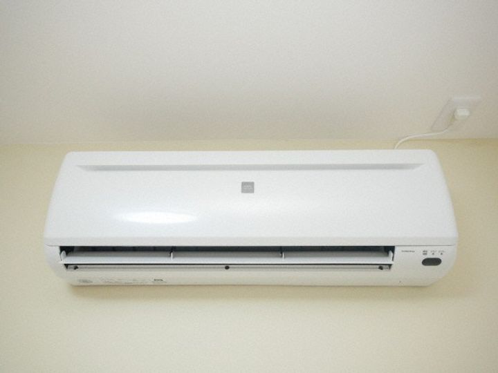 マリスステラのその他画像