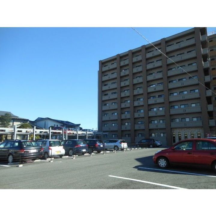 プラナス桜のその他画像