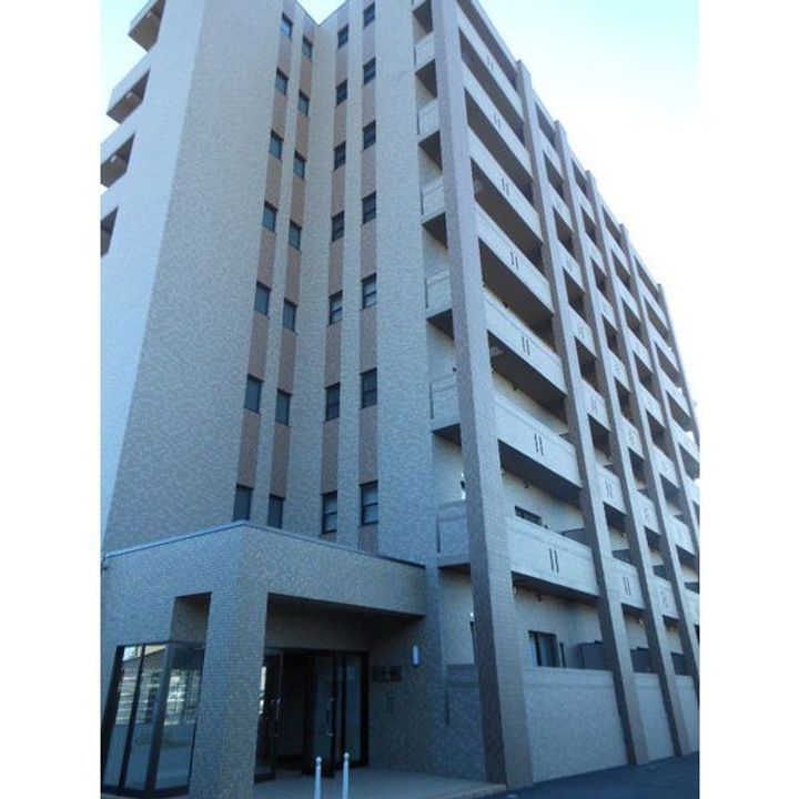 プラナス桜のその他画像