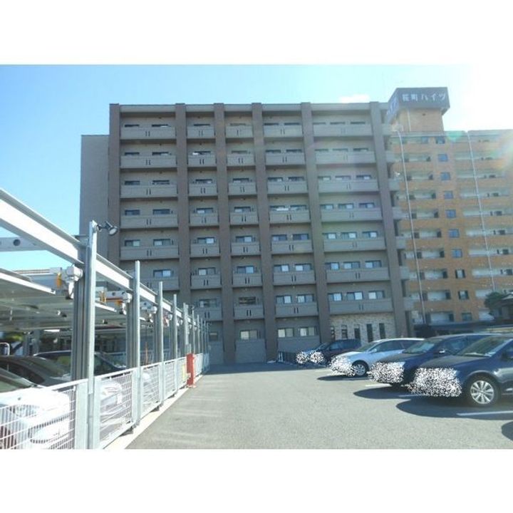 プラナス桜のその他画像