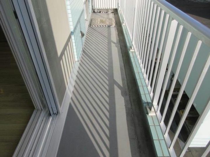 サルイオビヒロの内装