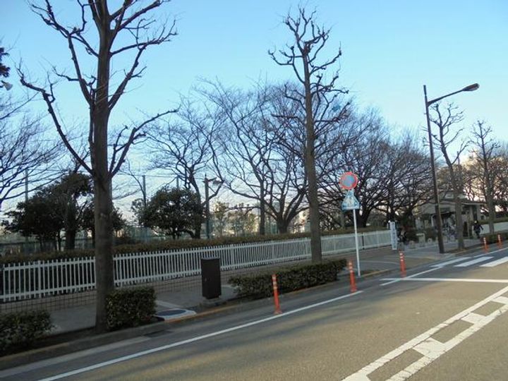 グランデ伊藤の周辺