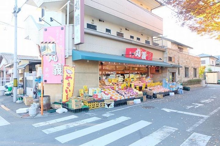 東京都昭島市中神町1(一戸建)の賃貸物件の周辺