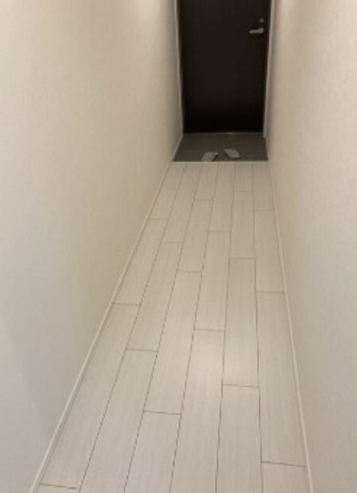 東京都葛飾区新小岩2(マンション)の賃貸物件の玄関