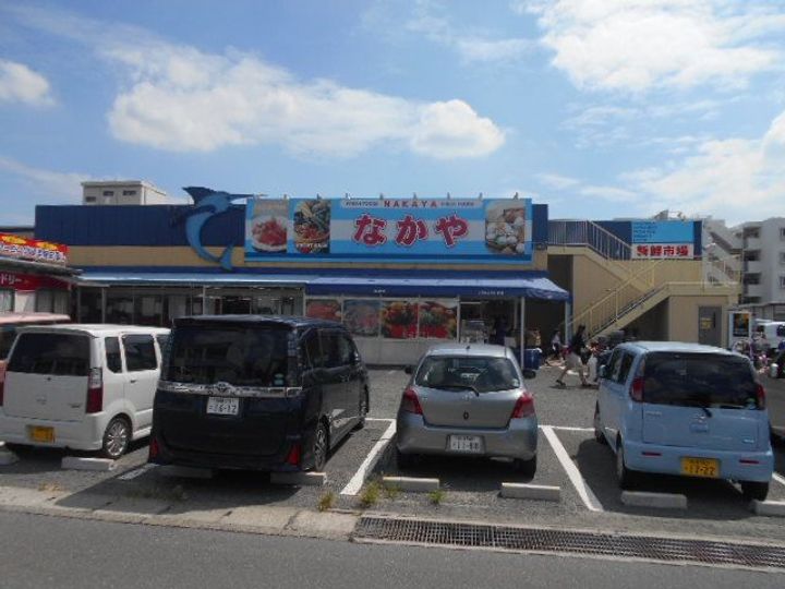 ドミール石川の周辺