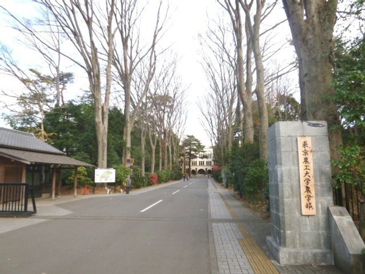 東京都府中市天神町2(アパート)の賃貸物件の周辺
