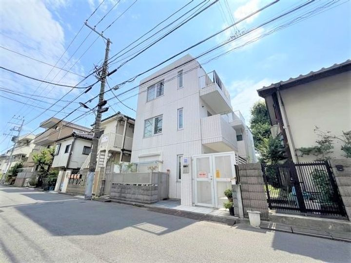 Amethyst simoの外観