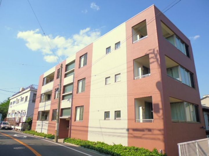 神奈川県川崎市中原区中丸子(マンション)の賃貸物件の外観