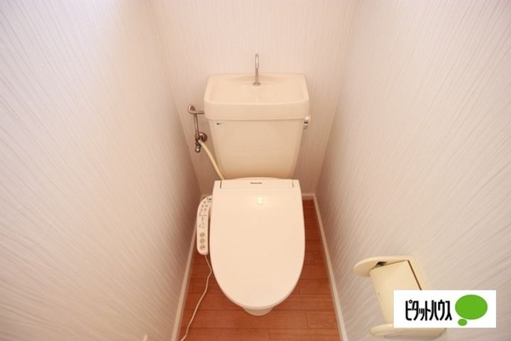 ソルレヴァンテBの内装