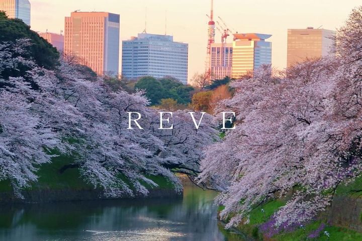 ザ・パークハウス千代田六番町の周辺