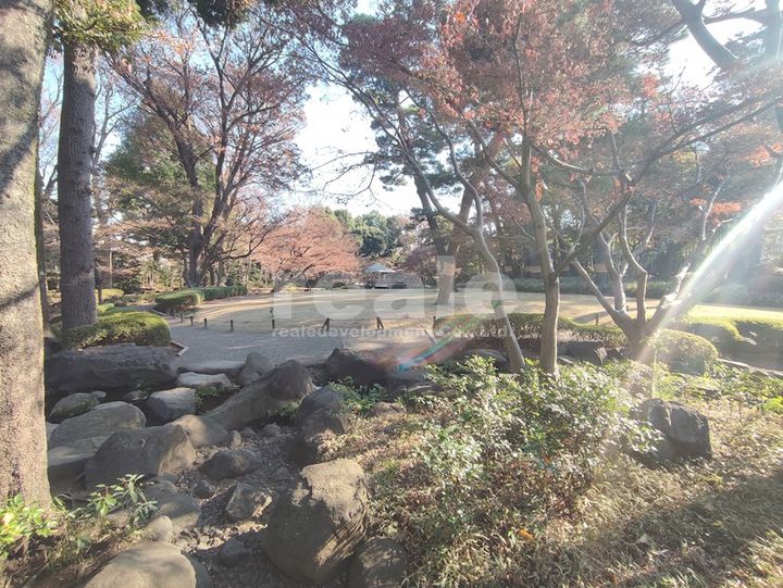 東京都杉並区南荻窪4(アパート)の賃貸物件の周辺